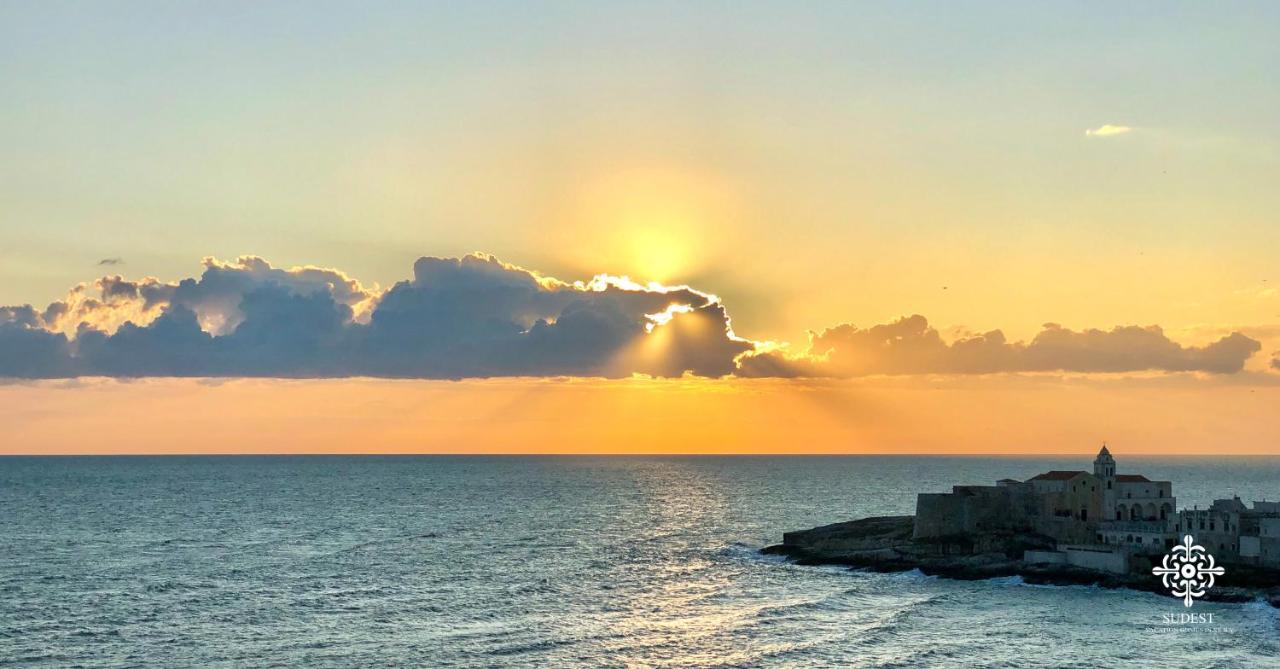 Apartamento Infinito - Attico Sul Mare Vieste Exterior foto